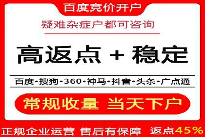 百度广告推广实战案例解析